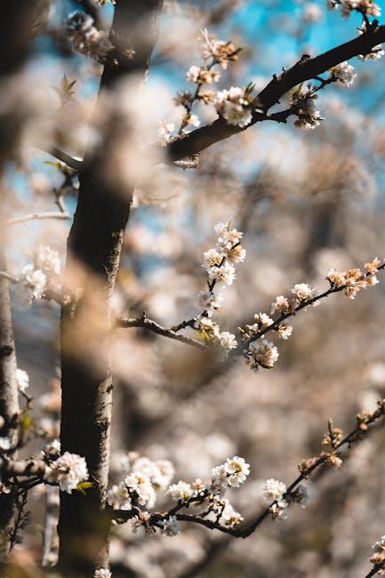 Understanding Springtime Allergies and Their Impact on Your Skin